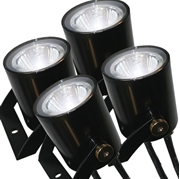 Kasco Marine WaterGlow 19W Stainless Steel LED 4-Light Kit 