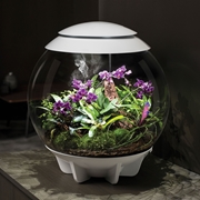 BiOrb Air 60 Terrarium