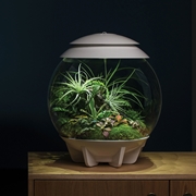 biOrb Air 30 Terrarium-Dark