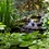 Atlantic Small Water Garden Kit-3