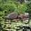 Atlantic Medium Water Garden Kit- 1