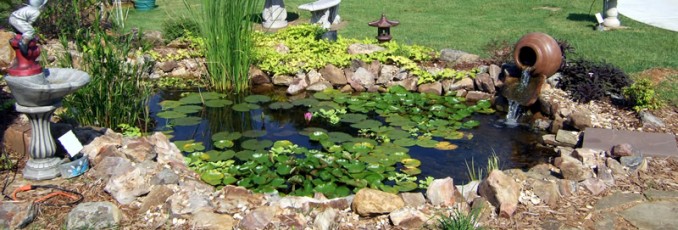 water garden